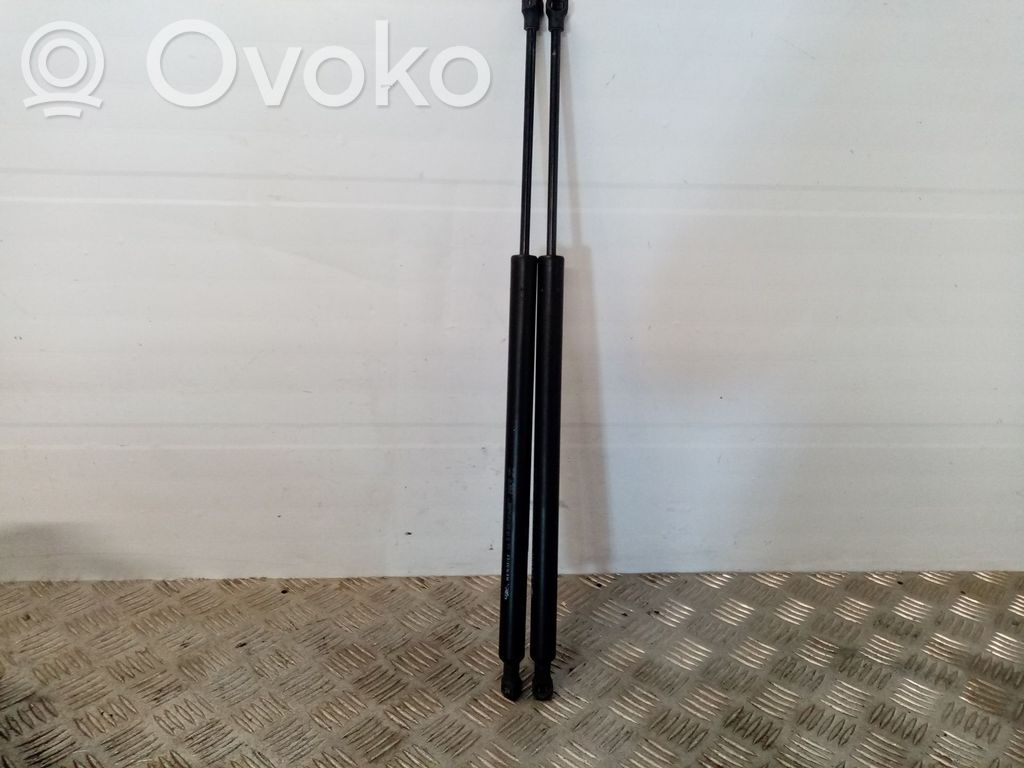Renault Modus Amortizor hayon 