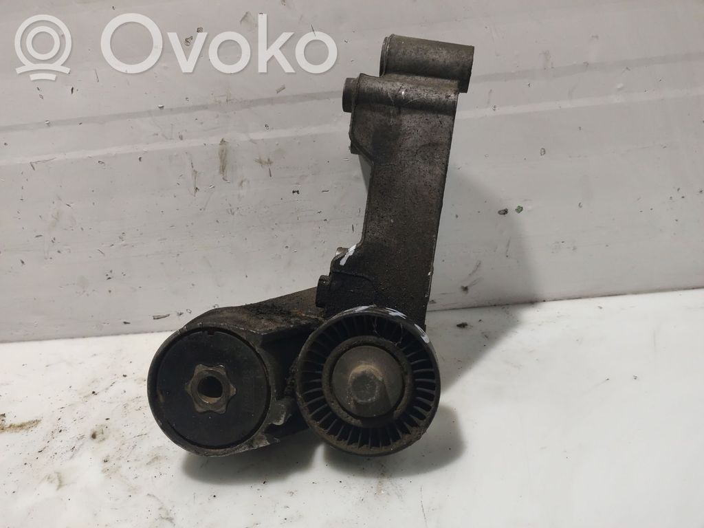 Ford Transit Diržo įtempėjas 
