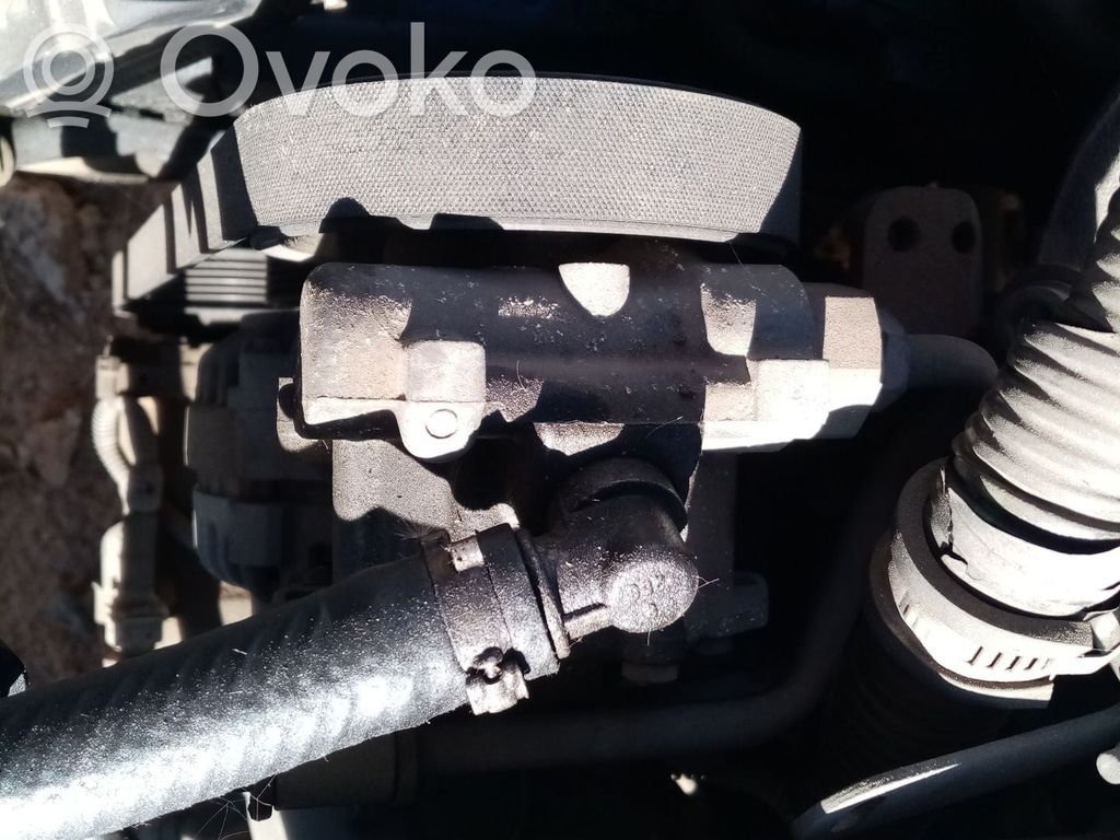 Peugeot 406 Pompa servosterzo 