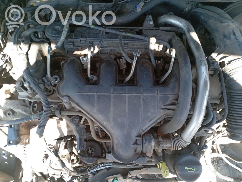 Peugeot 407 Galvutės dangtelis 