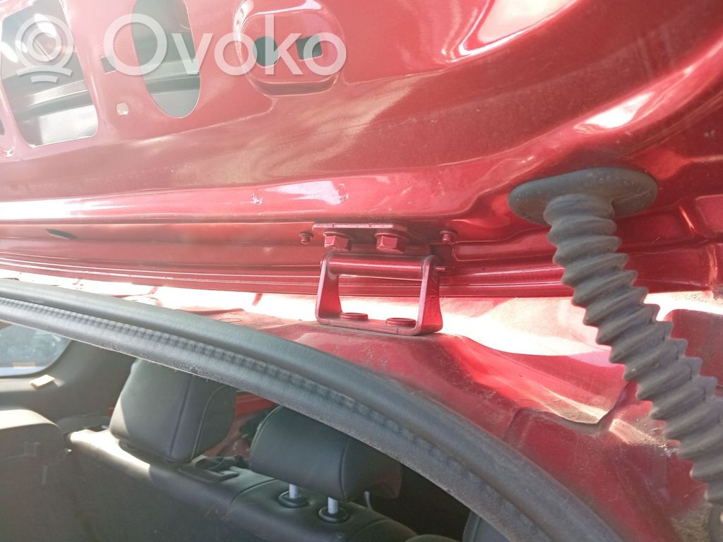 Renault Kadjar Rear door hinge set 