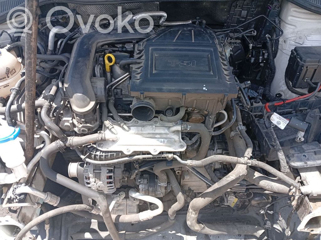 Seat Ibiza IV (6J,6P) Silnik 