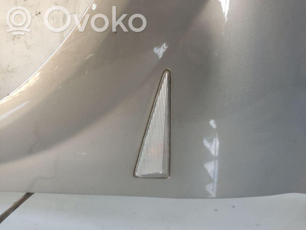 Renault Megane II Seitenblinker 