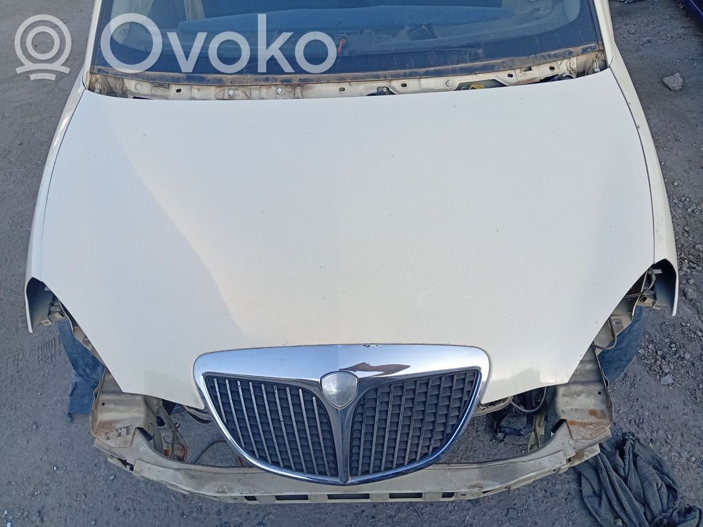 Lancia Ypsilon Engine bonnet/hood 