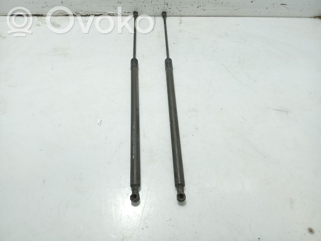 Renault Grand Modus Tailgate/trunk strut/damper 