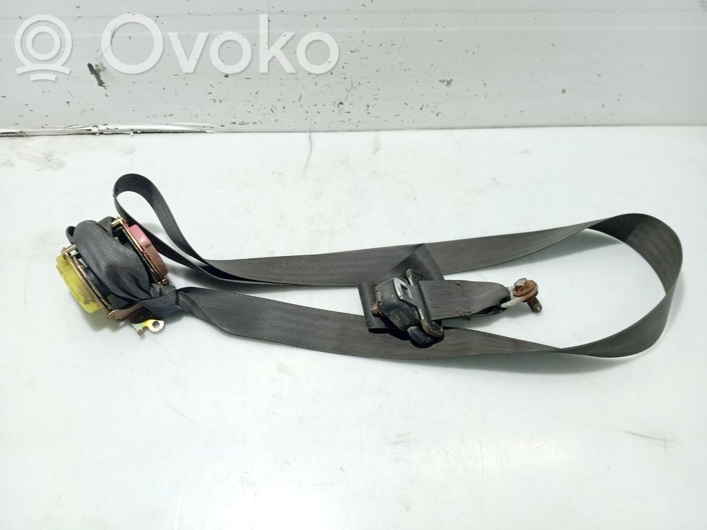 Cinturón trasero   03259CTD
