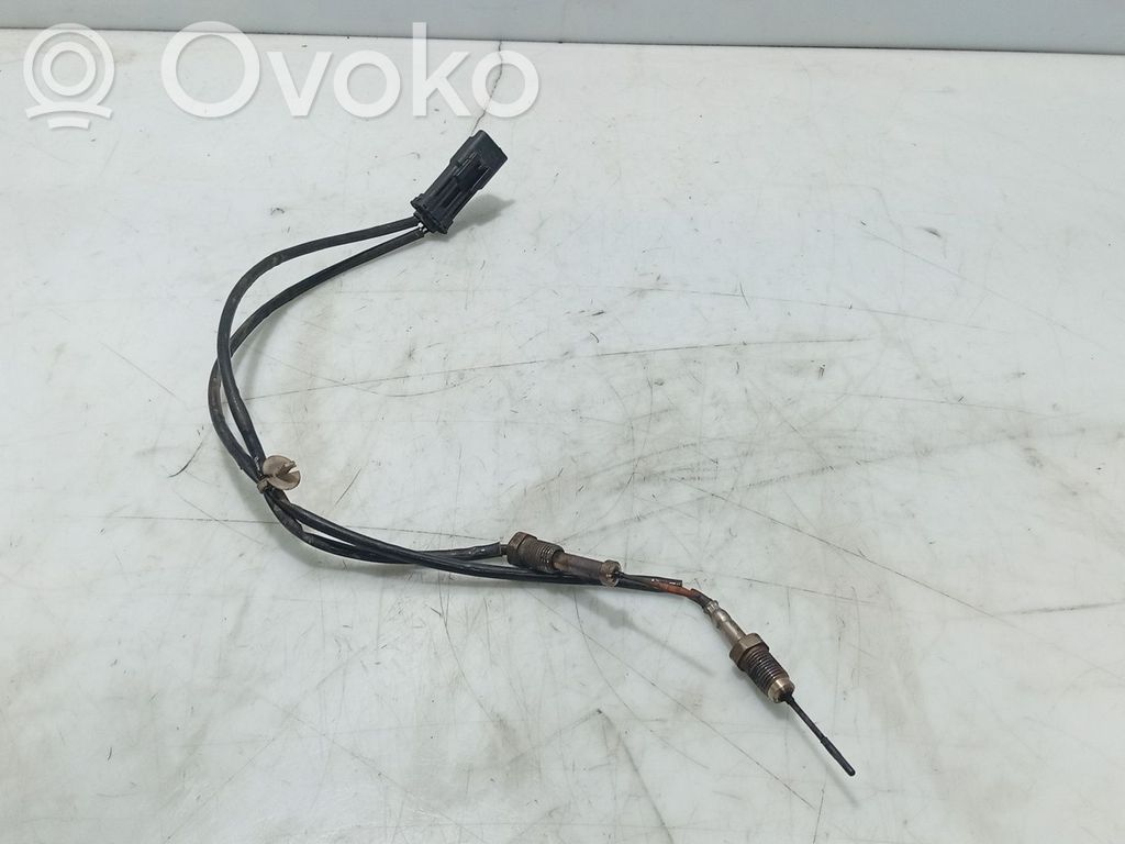 Sensor   9808312080