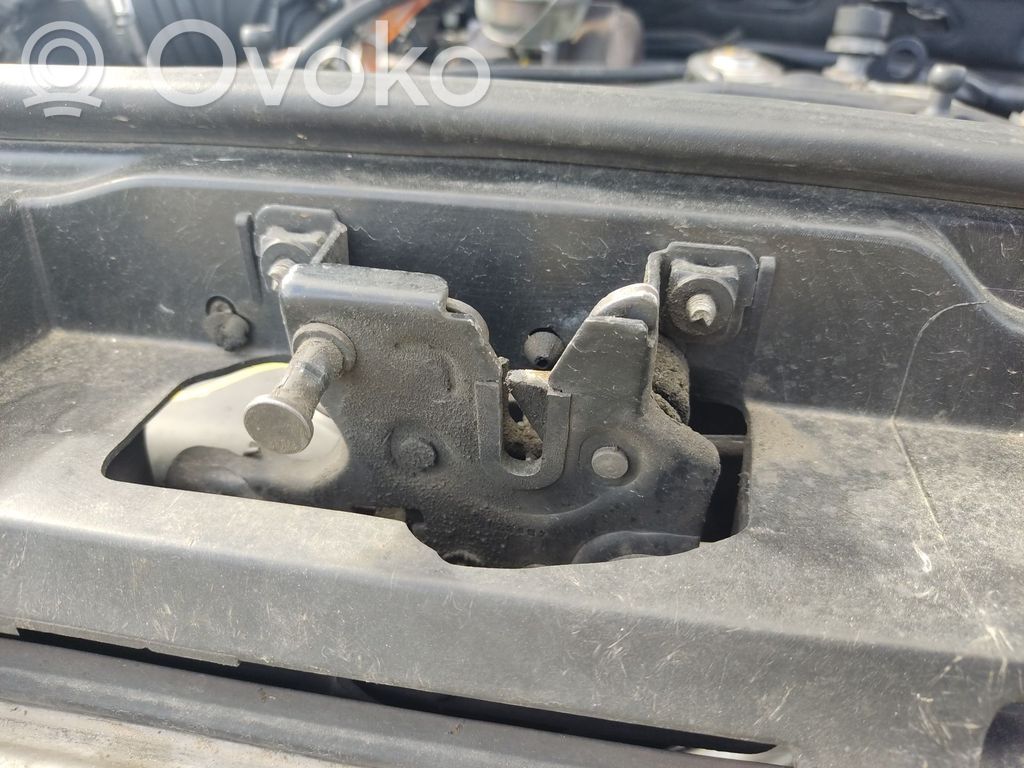 Tie down hook / loop   4B0823509