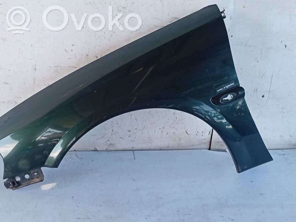 Guardabarro   90503000