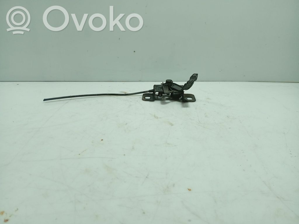 Tie down hook / loop   13312788,39088730