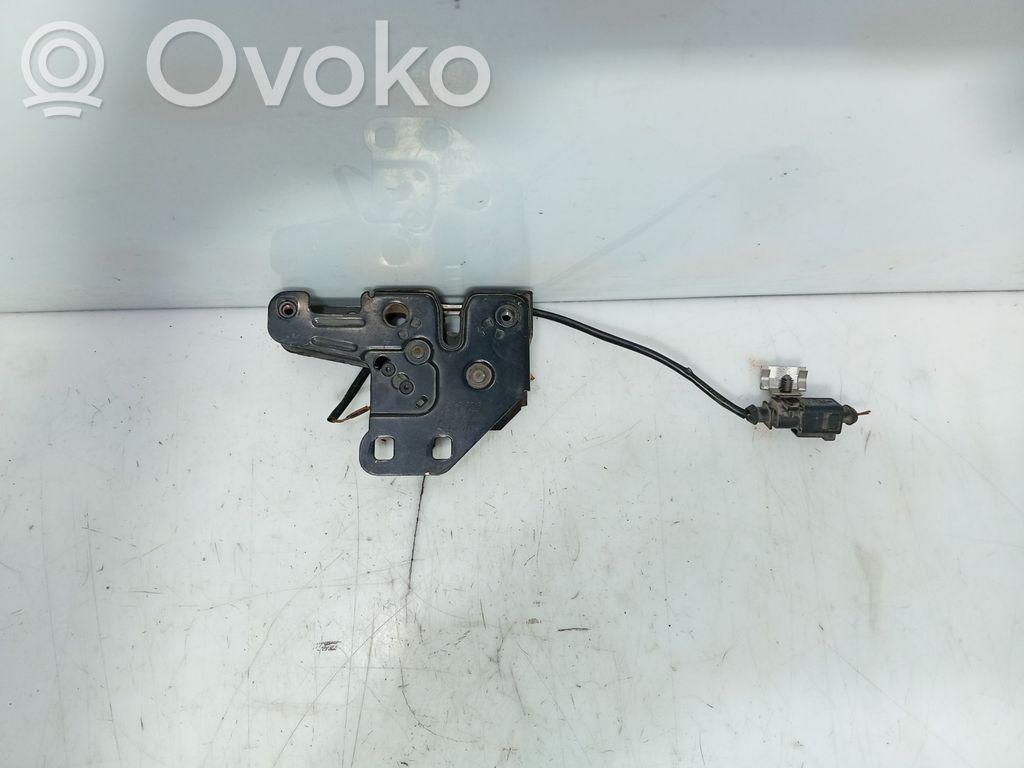 Tie down hook / loop   8E0823509D,8E0823509B