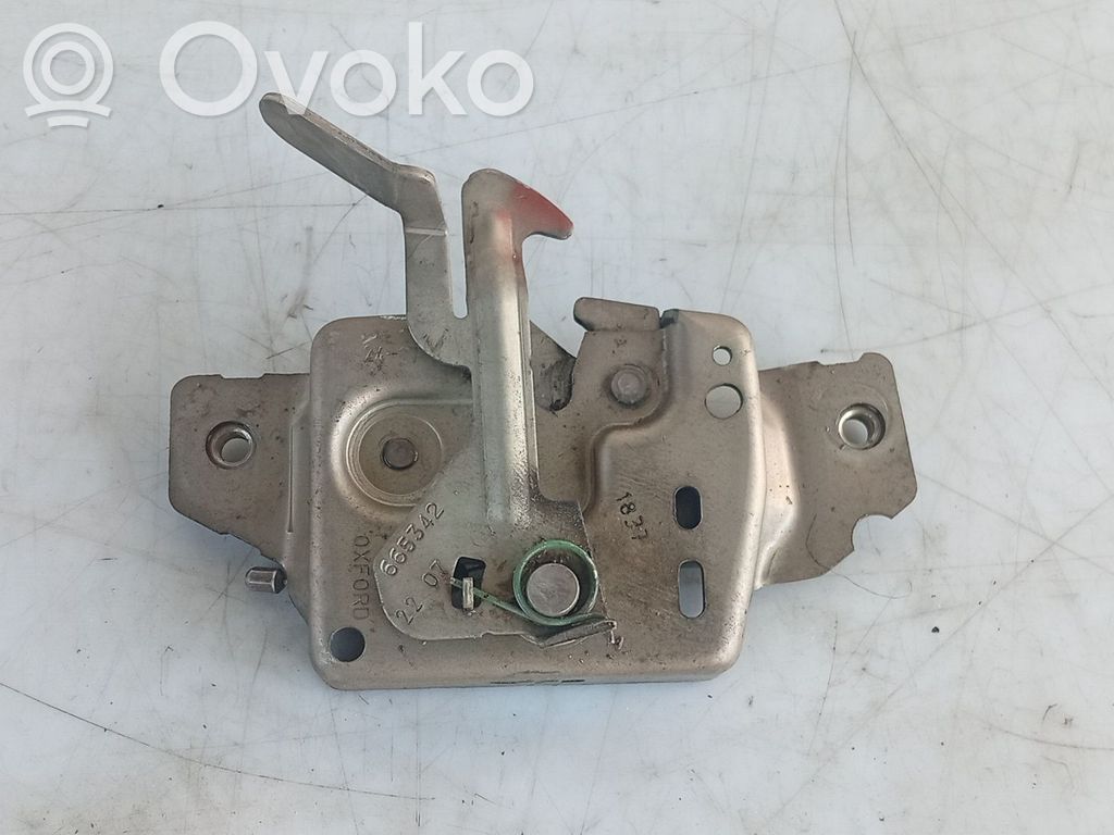 Tie down hook / loop   8200665342,8200298891,665342