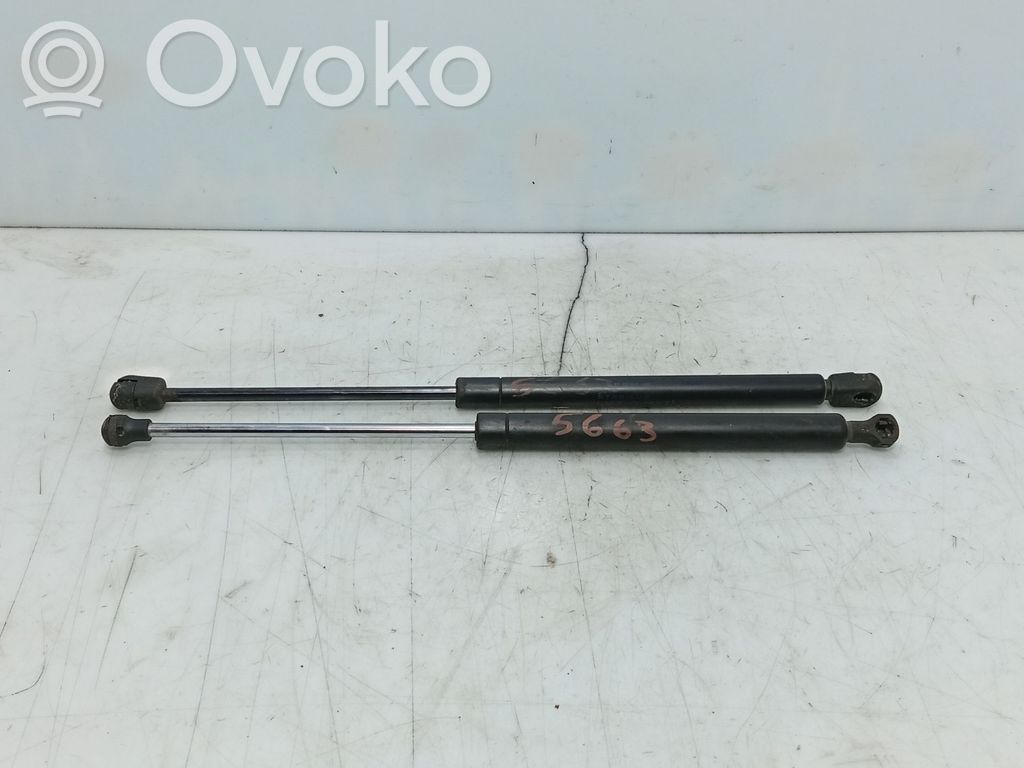 Renault Twingo II Amortizor hayon 