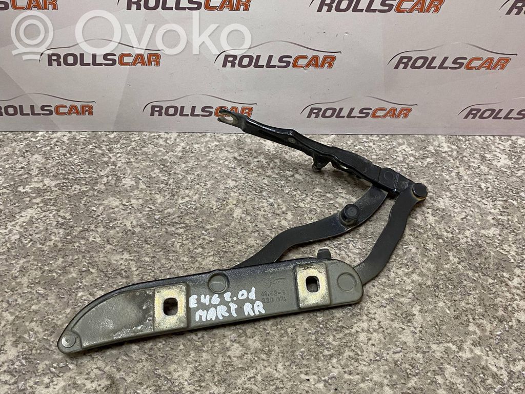 Tailgate/trunk/boot hinge   220074,41828