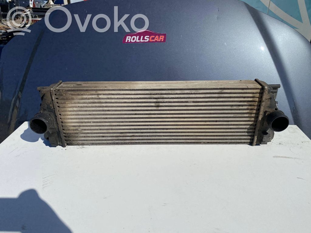 Mercedes-Benz Sprinter W906 Oro nukreipėjas/ kanalas interkūlerio radiatoriaus 