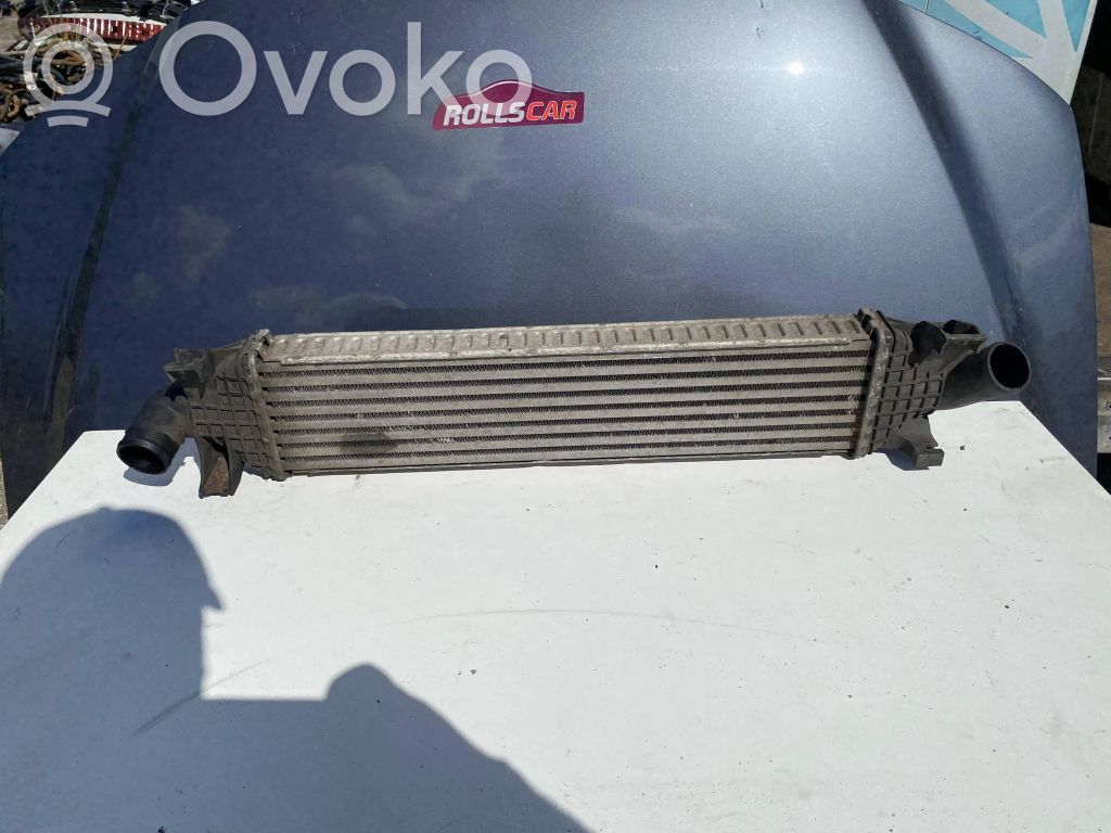 Ford Focus C-MAX Oro nukreipėjas/ kanalas interkūlerio radiatoriaus 