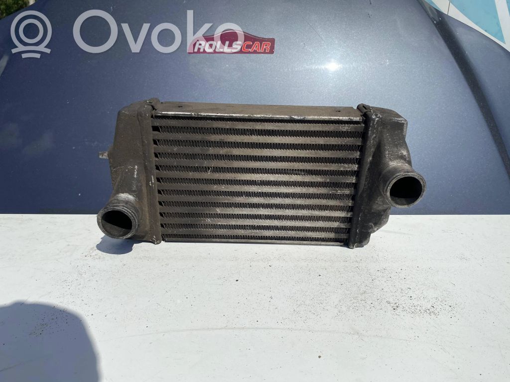 Chrysler Voyager Oro nukreipėjas/ kanalas interkūlerio radiatoriaus 
