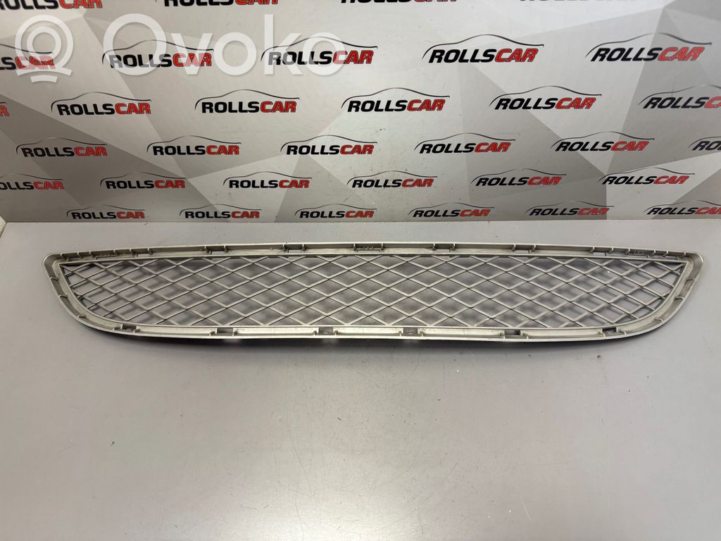 BMW X6 E71 Front bumper lower grill 