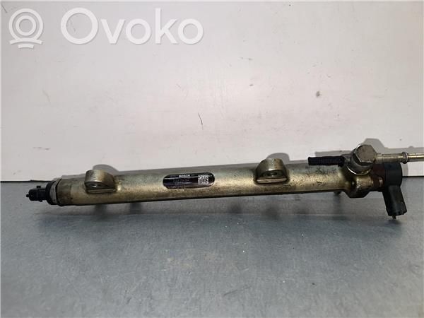 Rampa inyectora   445214044