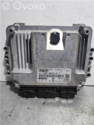 Engine control unit/module ECU   281011701