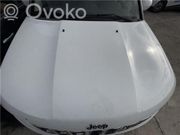 Motorhaube