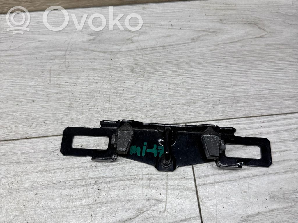 Loading door lock loop/hook striker   31276686
