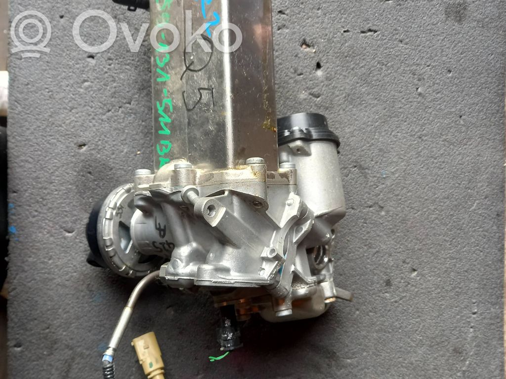 Audi Q5 SQ5 FY EGR aušintuvas 