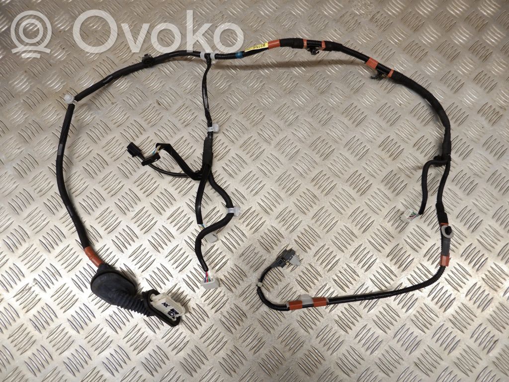 Lexus NX Cableado de puerta trasera 