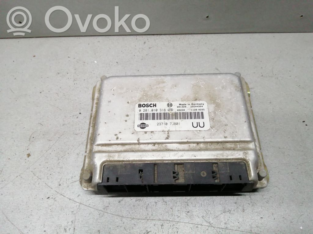 Nissan Primera Engine control unit/module 
