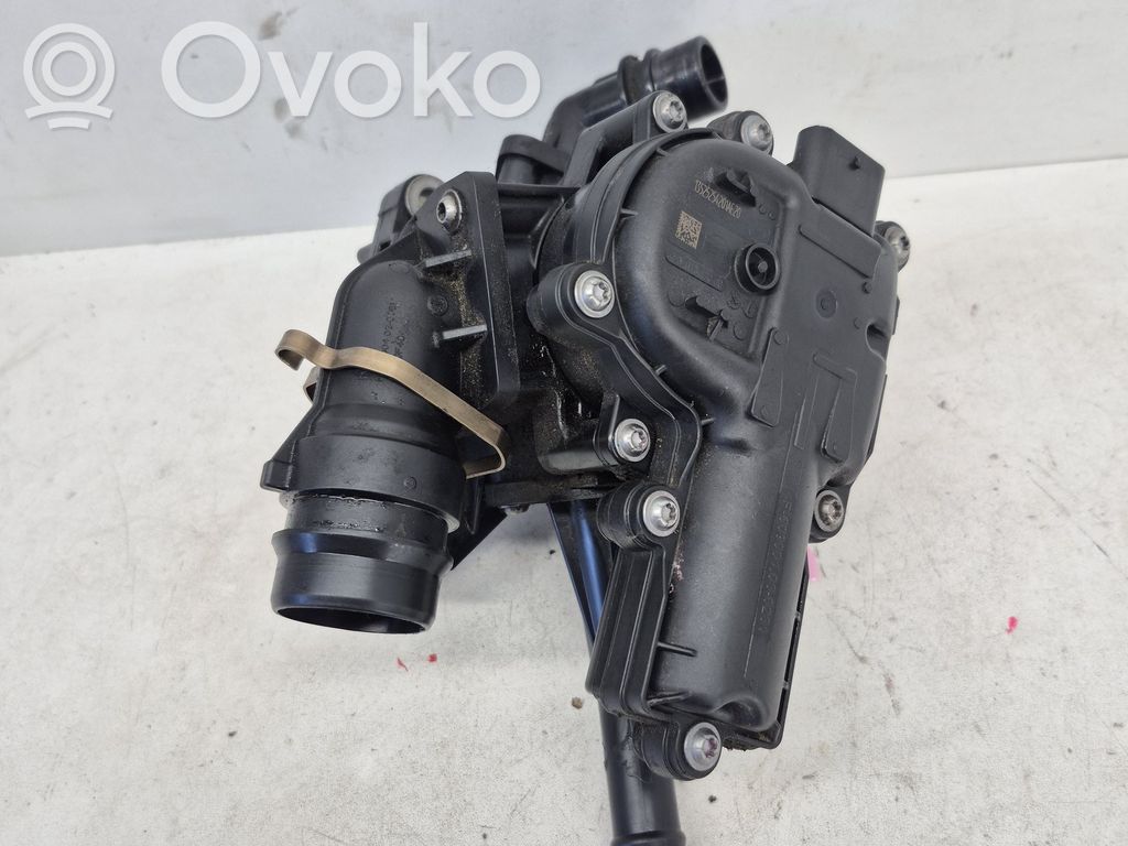 Termostat / Obudowa termostatu   256002M810