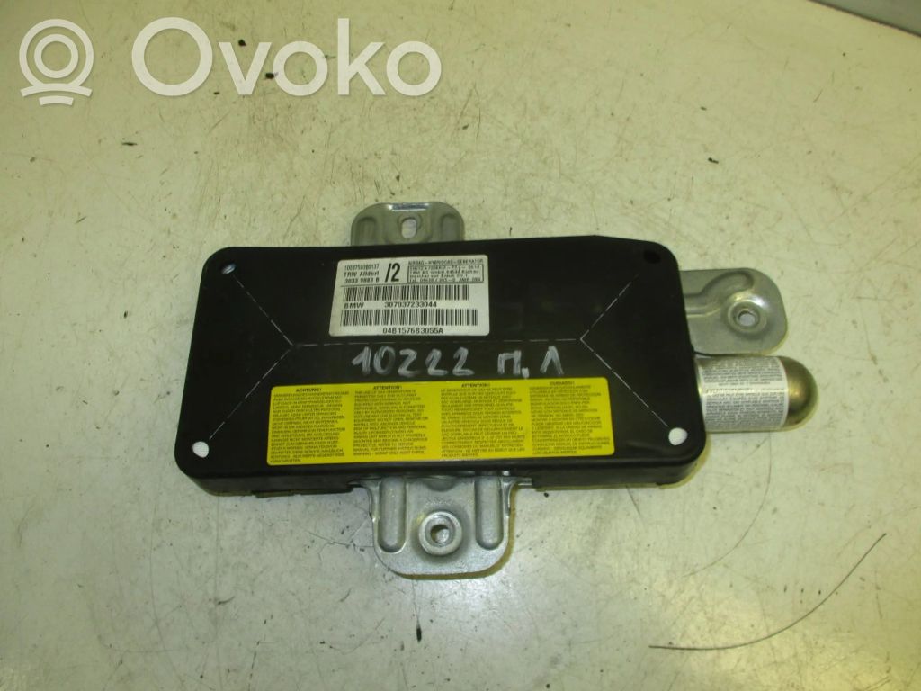 Airbag de la puerta delantera   307037233044