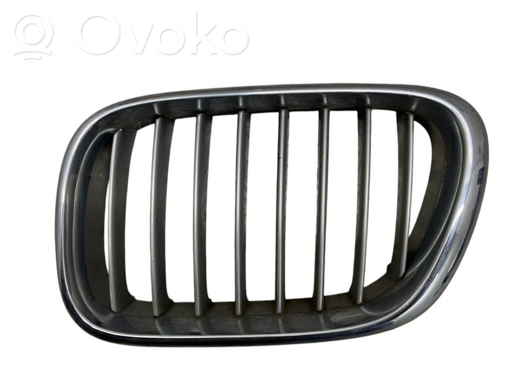 Kühlergrill   51138247673
