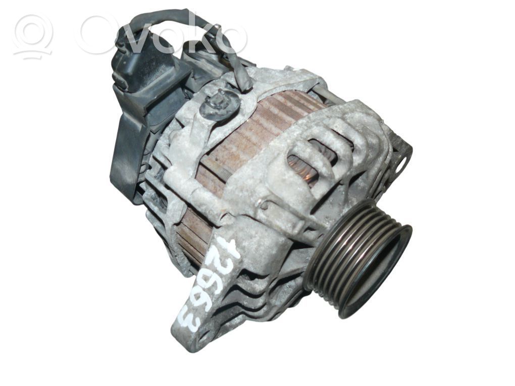 Alternator   2655447,373002B101,373002B101