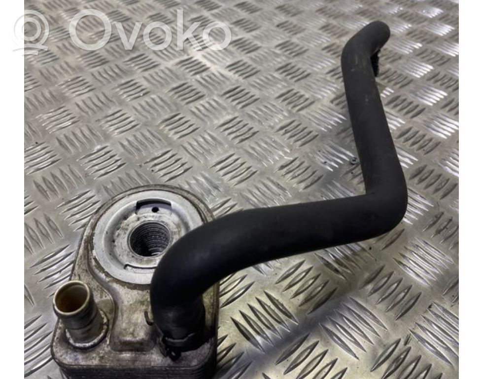 Ford Fiesta Engine oil radiator 