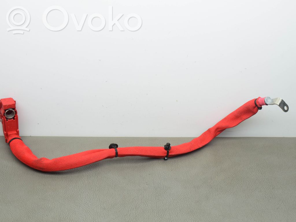 Pluskaapeli (akku)   6841299