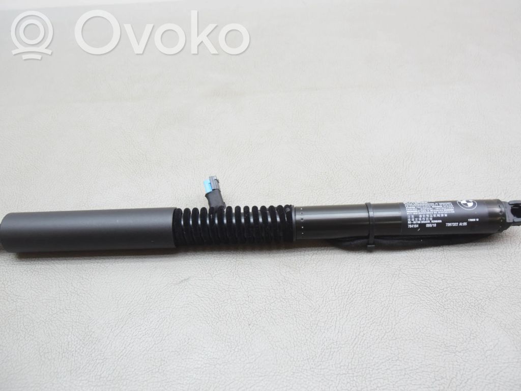 BMW X3 G01 Tailgate/trunk strut/damper 