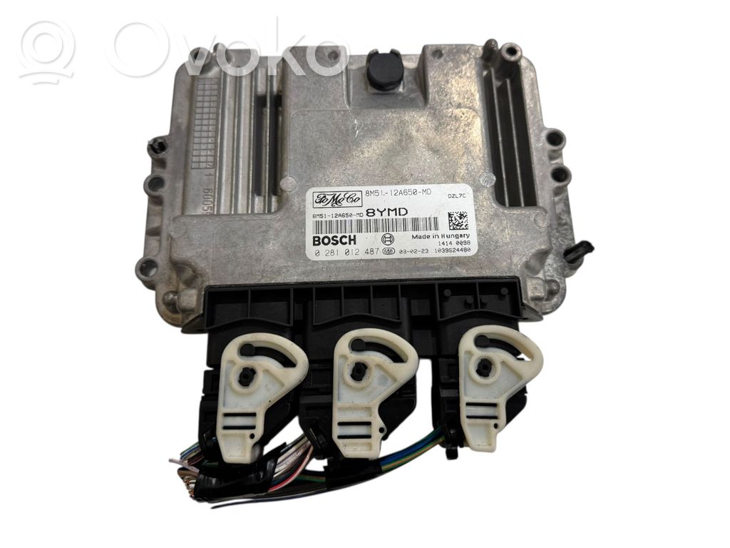 Ford C-MAX I Engine control unit/module 