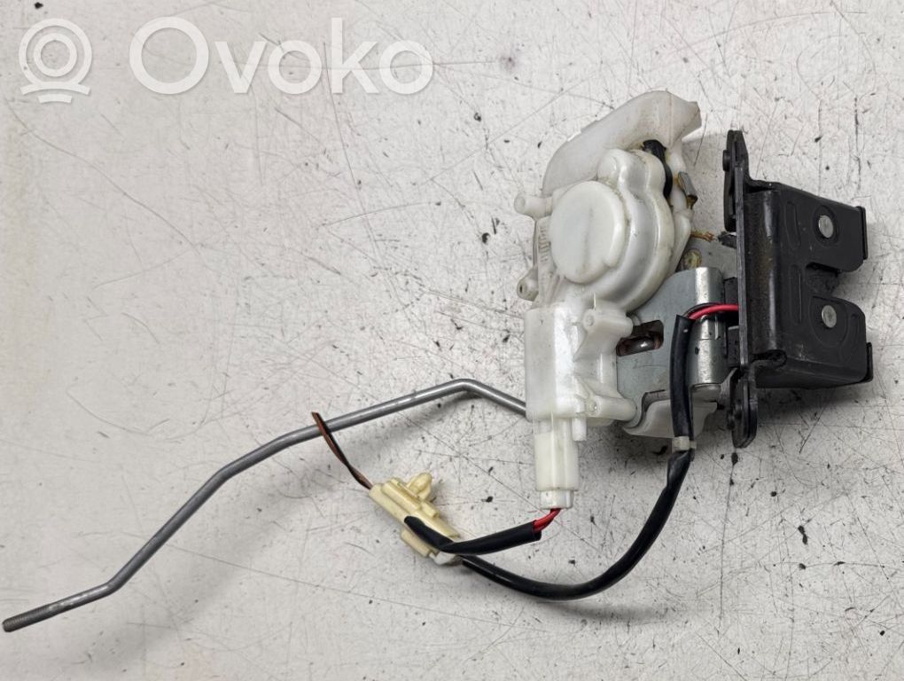 Tailgate/trunk/boot lock/catch/latch   B6701