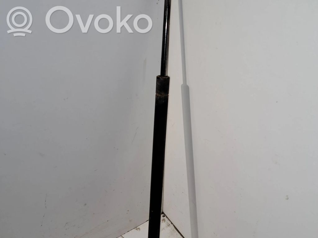 Chrysler Pacifica Tailgate/trunk strut/damper 