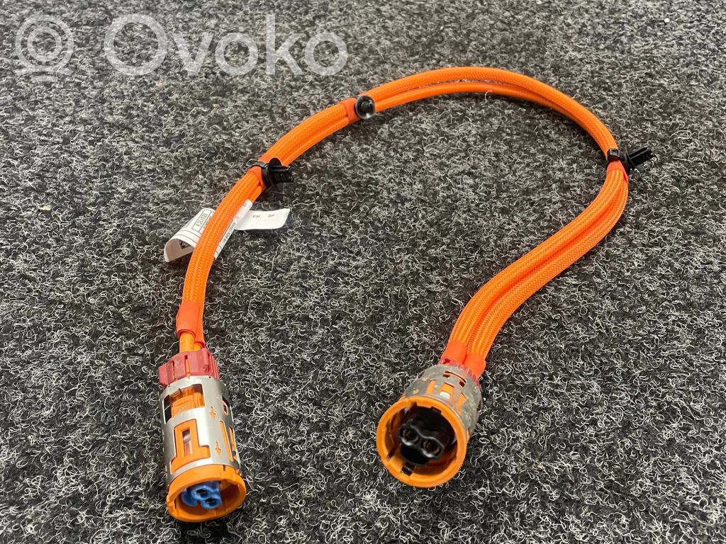 BMW X1 U11 Other wiring loom 