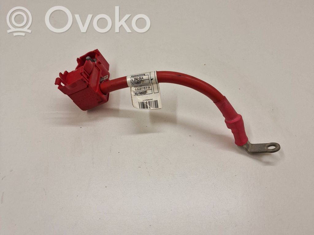 BMW 5 G30 G31 G38 Cable positivo (batería) 