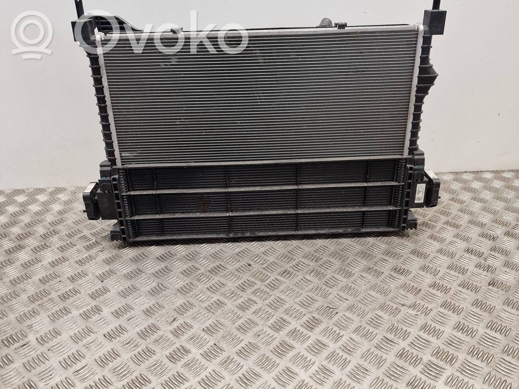 Mini Electric (Cooper SE) Set radiatoare 
