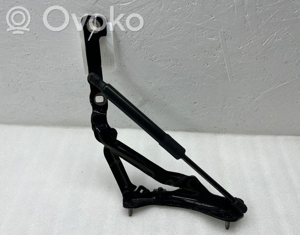 Tesla Model 3 Tailgate/trunk/boot hinge 