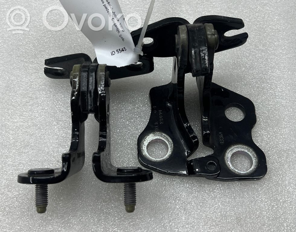 Tesla Model 3 Rear door hinge set 