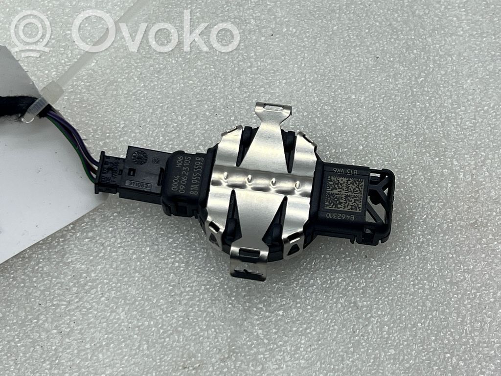 Rain sensor   81A955559B