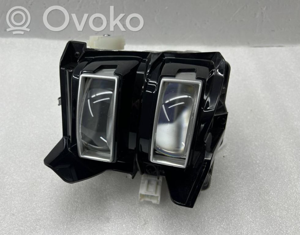KIA Niro LED-Vorschaltgerät 