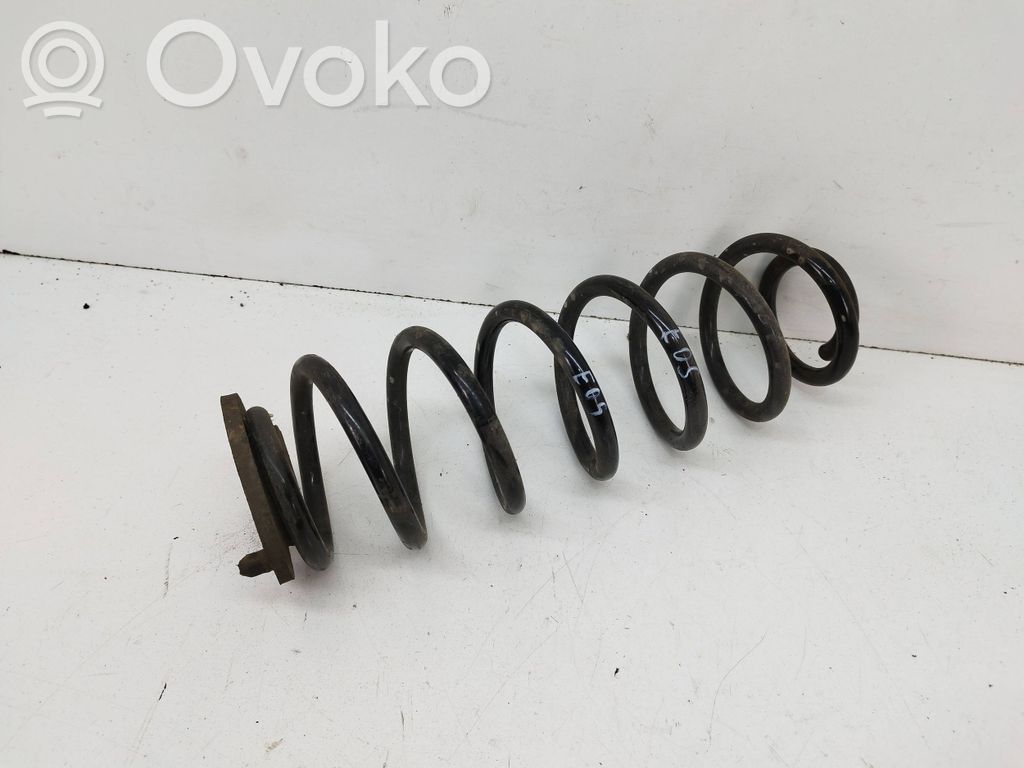 Rear coil spring