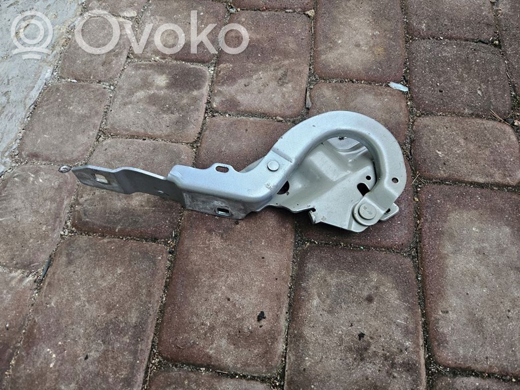Renault Zoe Dzinēja pārsega eņģe (-es) 