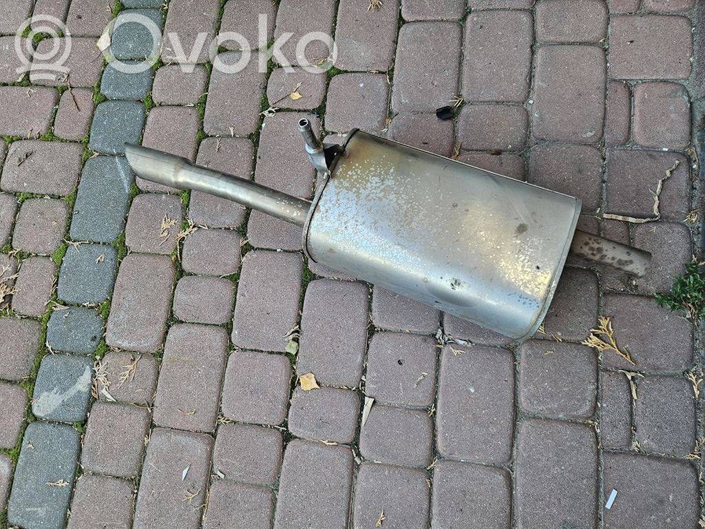 Duslintuvas   PSA4357