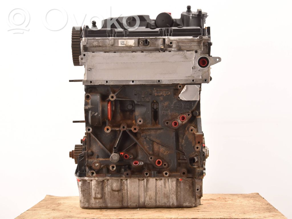 Seat Leon (5F) Variklis 